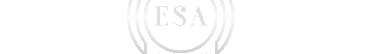 Executive Strategy Advisors